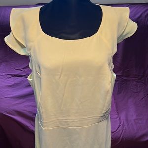 NWT Banana Republic dress size 16